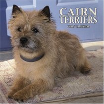 Cairn Terriers 2005 Wall Calendar