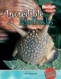 Incredible Mollusks (Incredible Creatures)