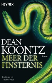 Meer der Finsternis (Odd Thomas, Bk 4) (German Edition)