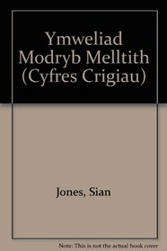 Ymweliad Modryb Melltith (Cyfres Crigiau)
