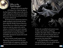 DK Adventures: DC Comics: Batman: Adventures of the Dark Knight