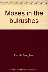 Moses in the bulrushes: Exodus 1:7-15:1 (A Golden Bible story)