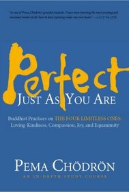 Perfect Just as You Are: Buddhist Practices on the Four Limitless Ones--Loving-Kindness, Compassion, Joy, and Equanimity