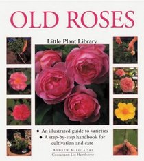 Old Roses