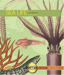Sea Life (Dover Pictura)