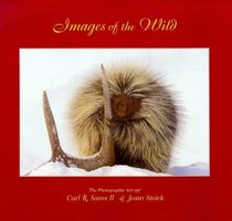 Images of the Wild: Photography and Stories