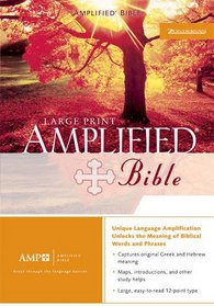 Amplified Bible Large Print, Purple Silver Gilding Jmm
