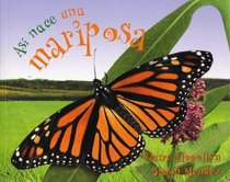 As nace una mariposa (Starting Life Butterfly) (Asi Nace)