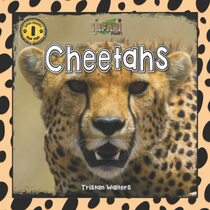 Safari Readers: Cheetahs (Safari Readers - Wildlife Books for Kids)