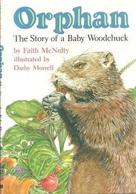Orphan: The Story of a Baby Woodchuck