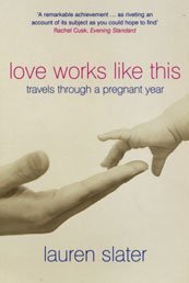 Love Works Like This: Travels Through a Pregnant Year