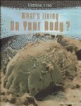 What's Living on Your Body? (Hidden Life)