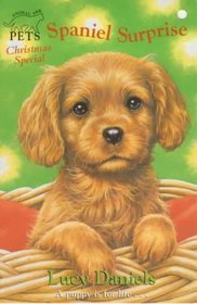 Animal Ark Pets Christmas Special: Spaniel Surprise (Animal Ark Pets: Christmas Special)