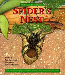 Spider's Nest (Watch It Grow)