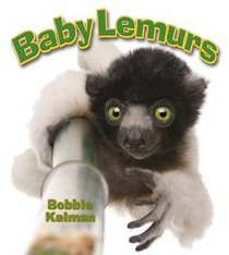 Baby Lemurs (It's Fun to Learn about Baby Animals)