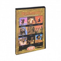RVR 60 New Testament 3 DVD Boxed Set (Spanish Edition)