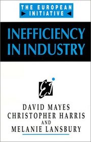 Inefficiency in Industry