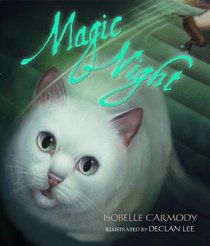 Magic Night (Picture Book)