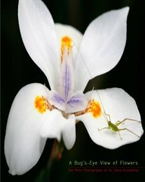 A Bug's-Eye View of Flowers: The Micro Photography of Dr. Gary Greenberg