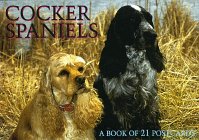 Cocker Spaniels (For the Love of)