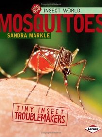 Mosquitoes (Insect World)