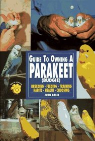 The Guide to Owning a Parakeet (Budgie)