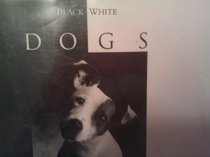 Black & White Dogs