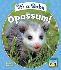 It's a Baby Opossum! (Baby Mammals)