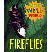Wild Wild World - Fireflies