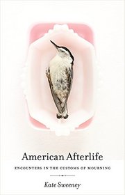 American Afterlife: Encounters in the Customs of Mourning