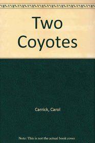 Two Coyotes