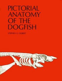 Pictorial Anatomy of the Dogfish