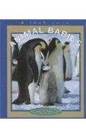 Animal Babies (True Books)