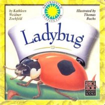 Ladybug (Big Box of Board Books)