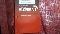 Holt McDougal Larson Algebra 1 Florida: Practice Workbook Algebra 1