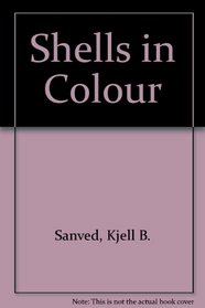 Shells in Colour