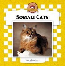 Somali Cats (Cats Set IV)