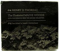 The illustrated Maine woods