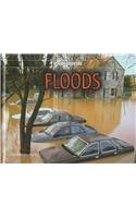Floods (Natural Disasters)