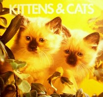 Kittens & Cats (Animal Information Books)