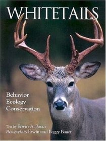 Whitetails: Behavior Ecology Conservation (Wildlife)