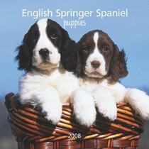 English Springer Spaniel Puppies 2008 Mini (German, French, Spanish and English Edition)