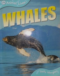 Animal Lives Whales