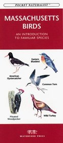 Massachusetts Birds: An Introduction to Familiar Species (Pocket Naturalist)