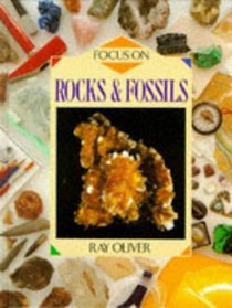 Rocks  fossils (Focus on)