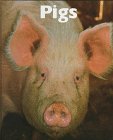 Pigs (Naturebooks)