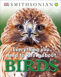Everything You Need to Know About Birds (Everything You Need Know)