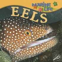 Eels (Marine Life)