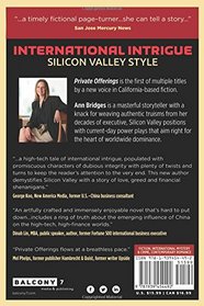 Private Offerings: A Silicon Valley Novel