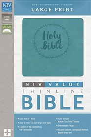 Holy Bible: New International Version, Turquoise Italian Duo-Tone, Value Thinline